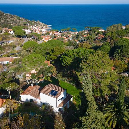 Villa Caterina Quiete E Mare-Goelba Sant'Andrea Eksteriør billede