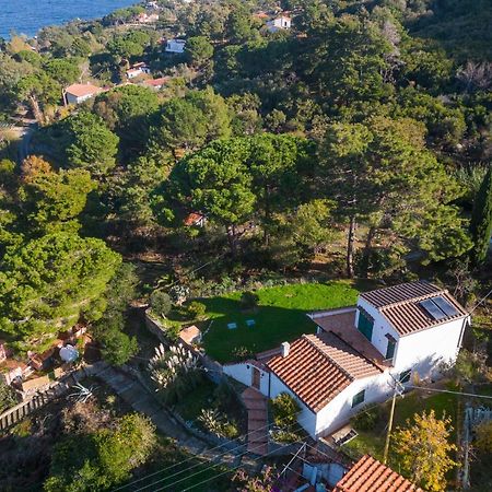 Villa Caterina Quiete E Mare-Goelba Sant'Andrea Eksteriør billede
