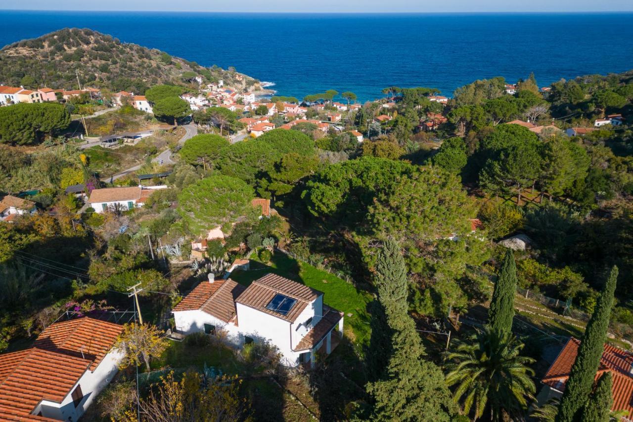 Villa Caterina Quiete E Mare-Goelba Sant'Andrea Eksteriør billede