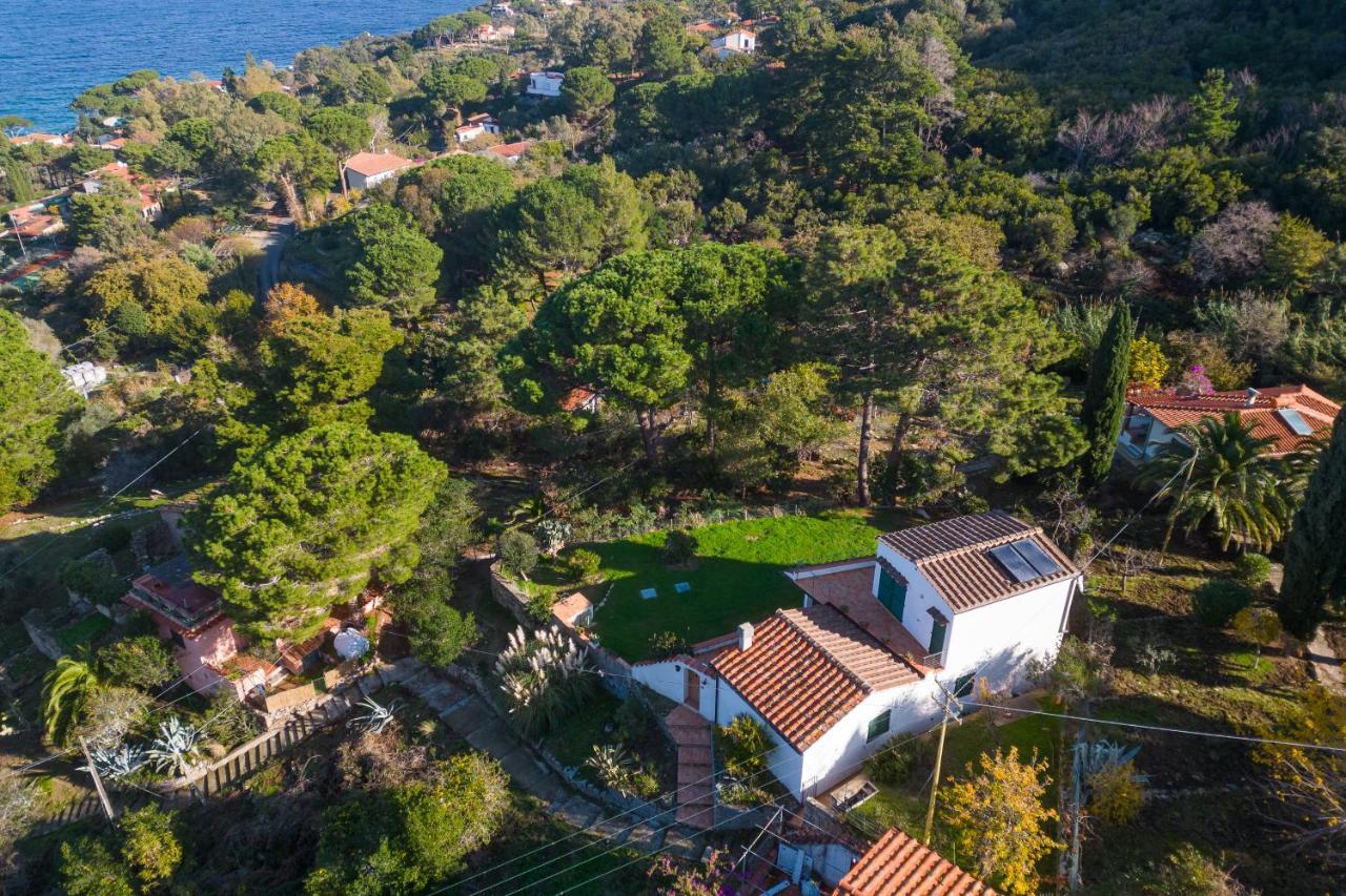 Villa Caterina Quiete E Mare-Goelba Sant'Andrea Eksteriør billede