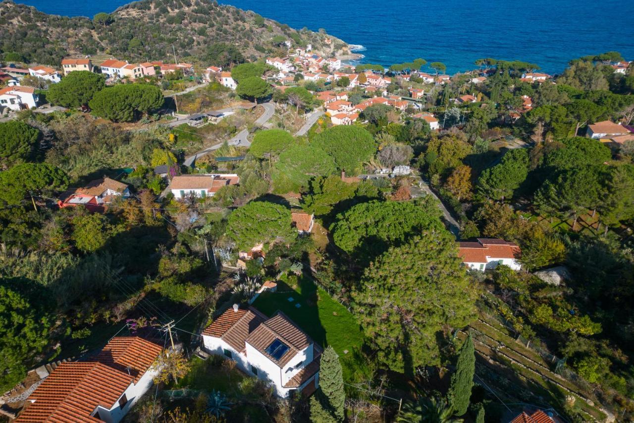 Villa Caterina Quiete E Mare-Goelba Sant'Andrea Eksteriør billede