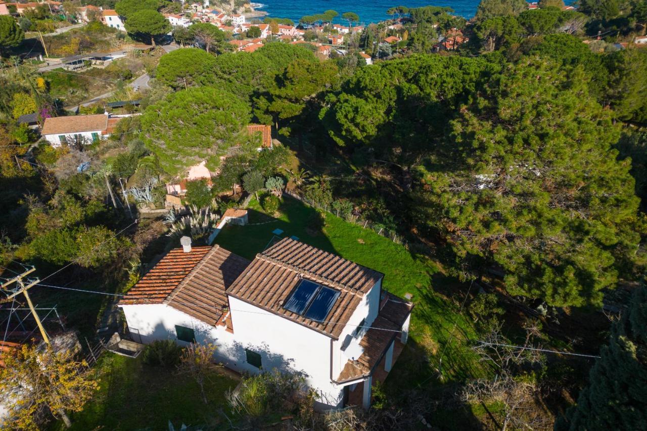 Villa Caterina Quiete E Mare-Goelba Sant'Andrea Eksteriør billede