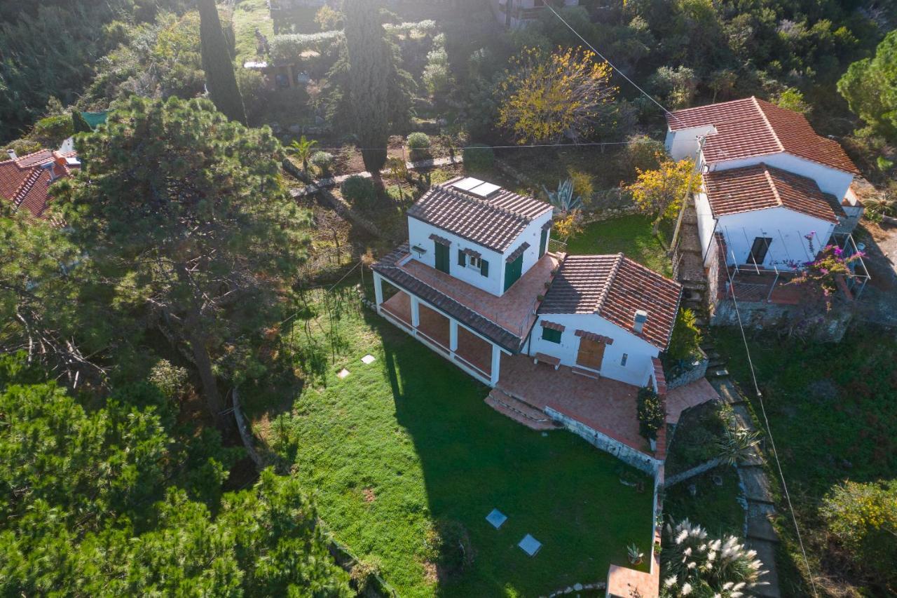 Villa Caterina Quiete E Mare-Goelba Sant'Andrea Eksteriør billede