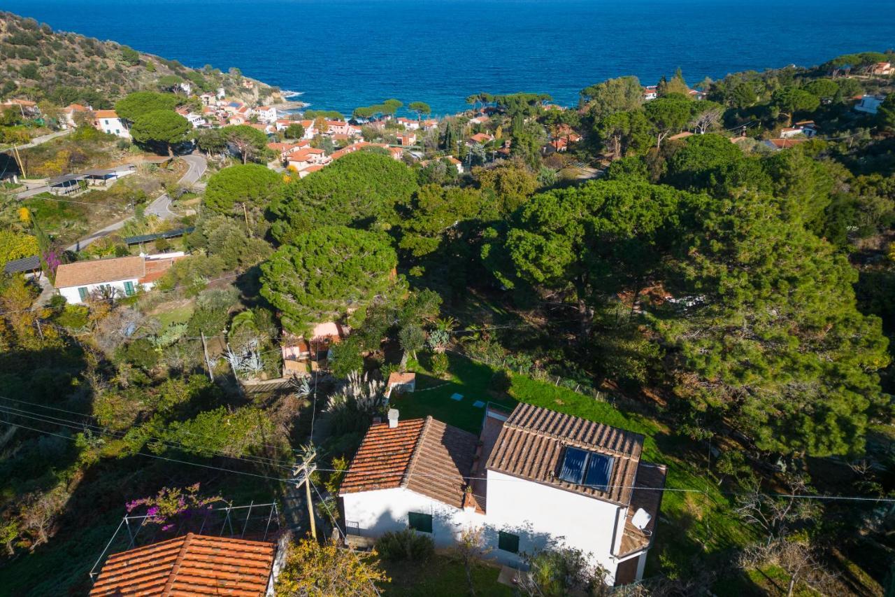 Villa Caterina Quiete E Mare-Goelba Sant'Andrea Eksteriør billede